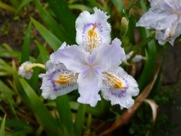 P1160773