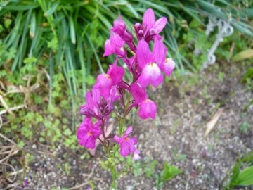 P1160860