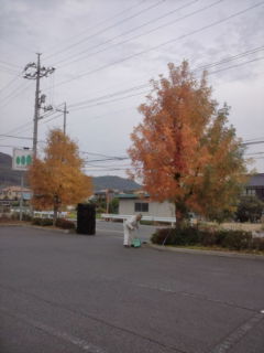 201611210735